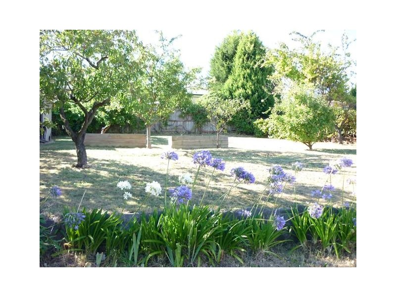 49  Innocent Street, Kings Meadows TAS 7249