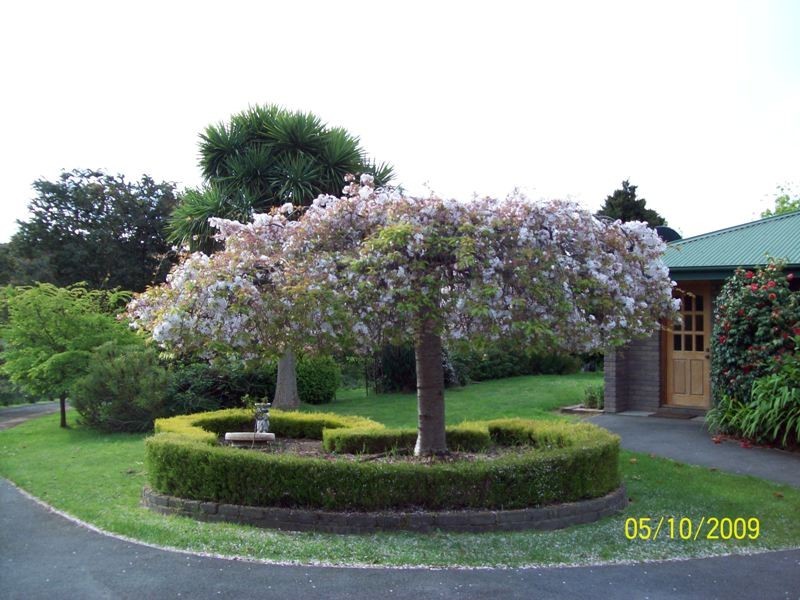 165 Deviot Road, Deviot TAS 7275