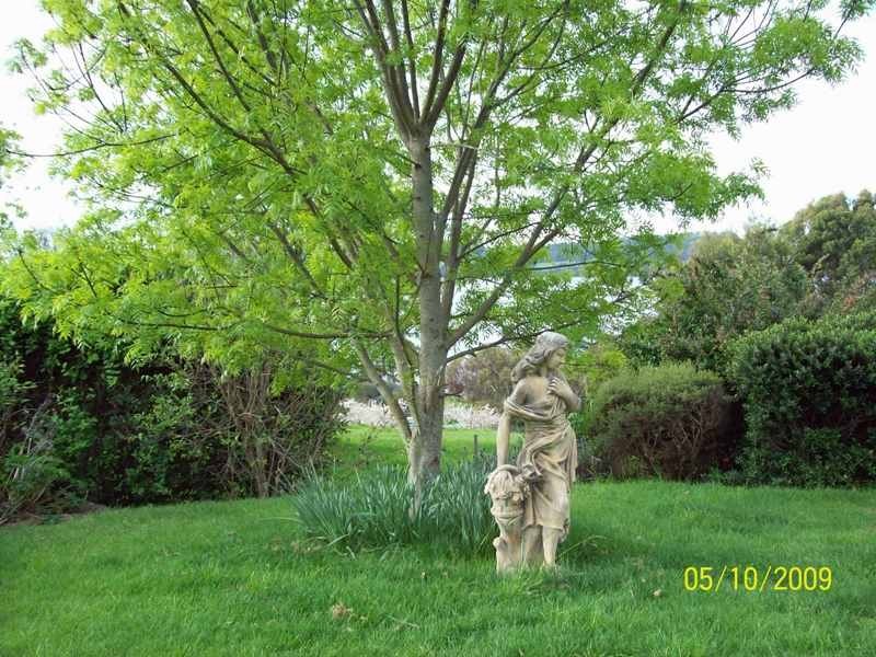 165 Deviot Road, Deviot TAS 7275