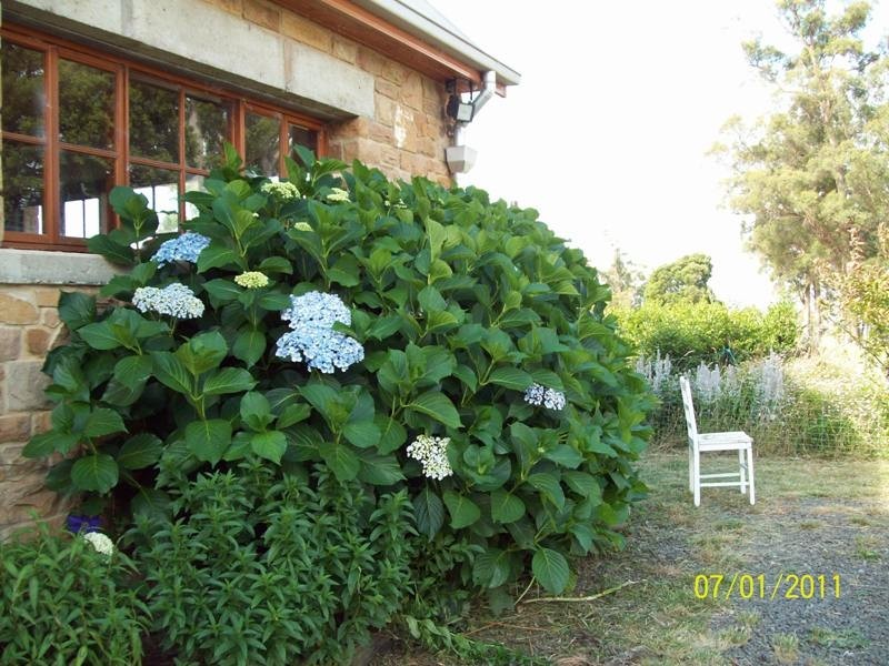 2546 West Tamar Highway, Exeter TAS 7275