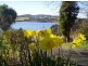 267 Rosevears Drive, Rosevears TAS 7277