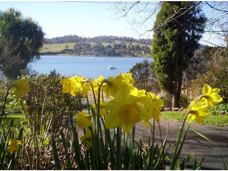 267 Rosevears Drive, Rosevears TAS 7277