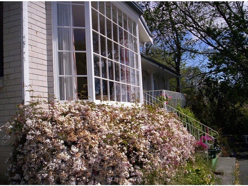 267 Rosevears Drive, Rosevears TAS 7277