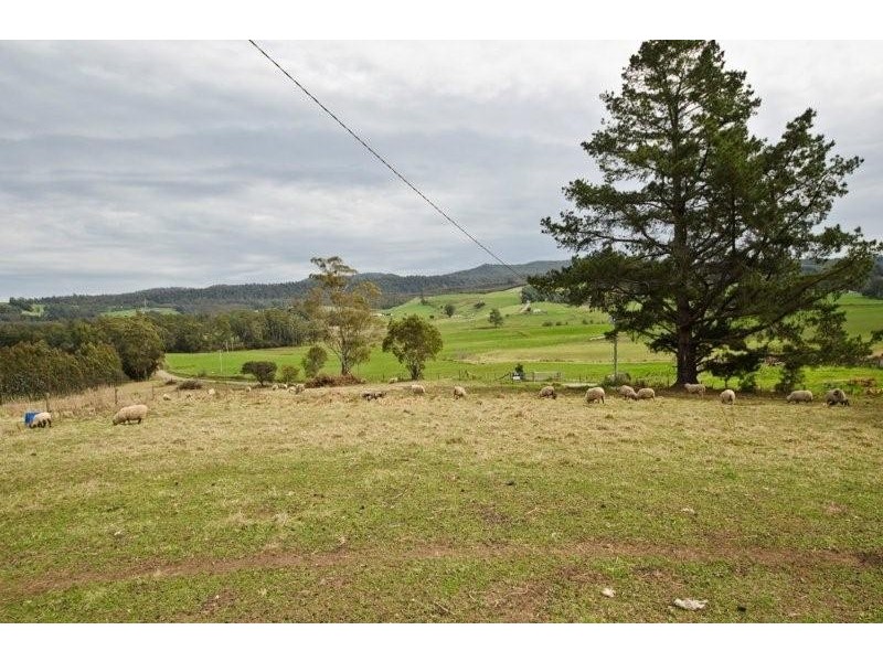 131 South Winkleigh Road, Winkleigh TAS 7275