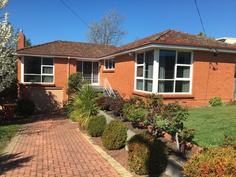 31 Chestnut Road, Youngtown TAS 7249