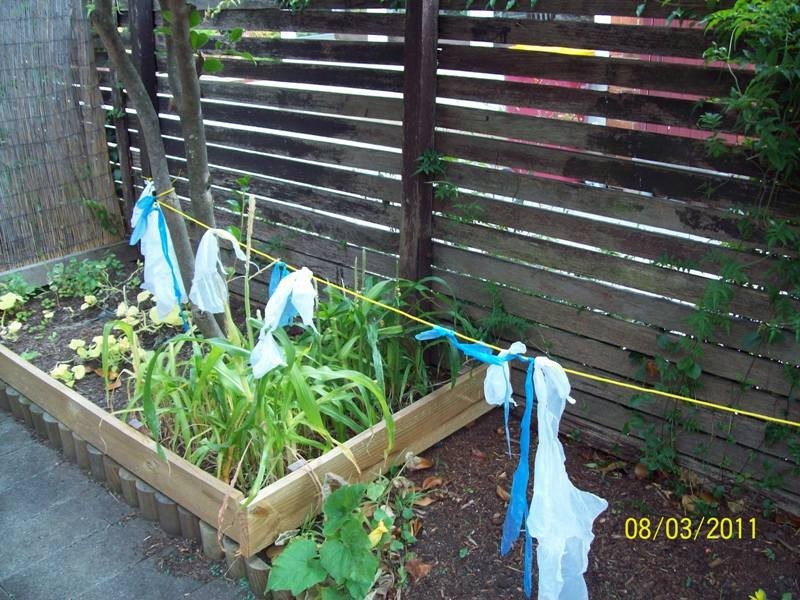 3/75  High Street, East Launceston TAS 7250