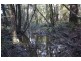 3541 West Tamar Highway, Sidmouth TAS 7270