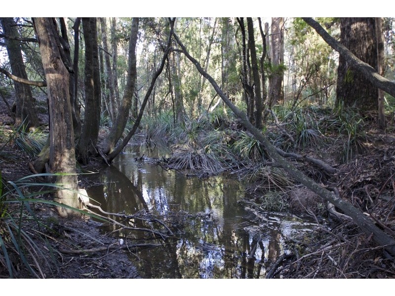 3541 West Tamar Highway, Sidmouth TAS 7270