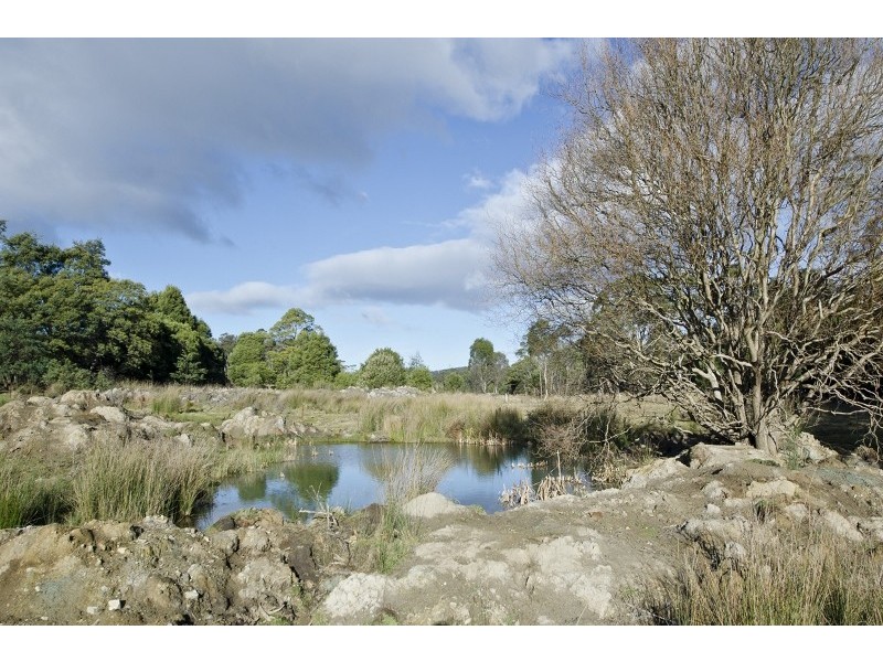 3541 West Tamar Highway, Sidmouth TAS 7270