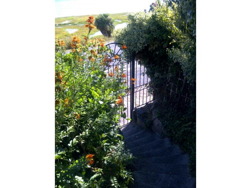 223 Rosevears Drive, Rosevears TAS 7277