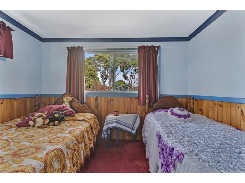 3 Albert Street, Bellingham TAS 7254