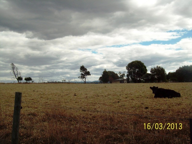 515 Rowella Road, Rowella TAS 7270