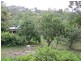 28 Anderson Road, Trevallyn TAS 7250