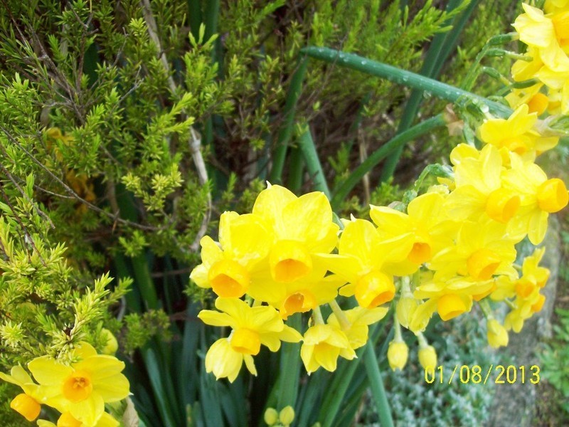 16  Winkleigh Road, Exeter TAS 7275