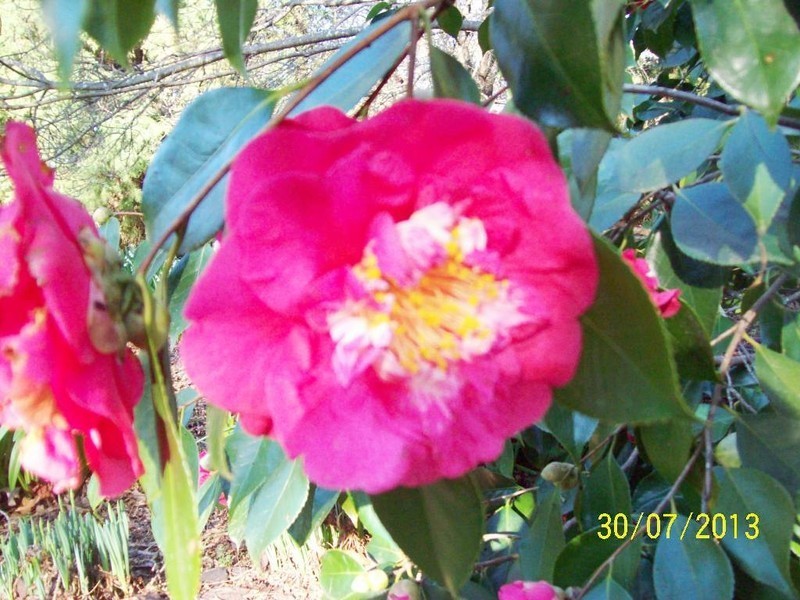 710 Deviot Road, Deviot TAS 7275