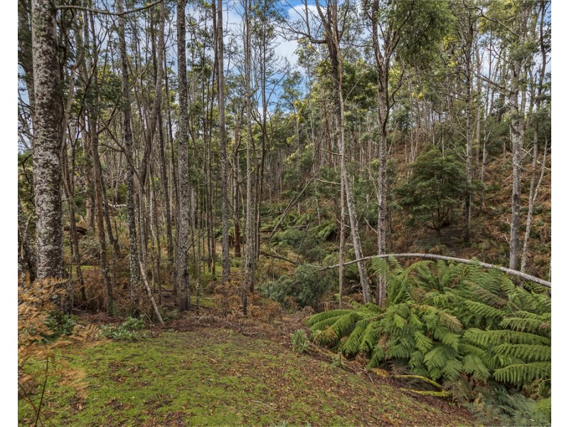 92 Camerons Road, Underwood TAS 7268