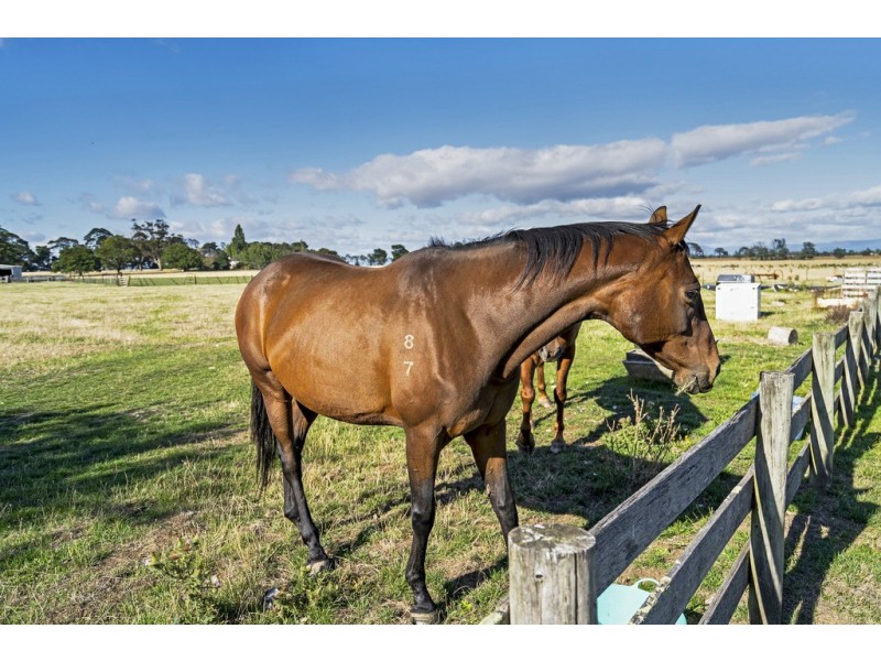 76 Nile Road, Evandale TAS 7212