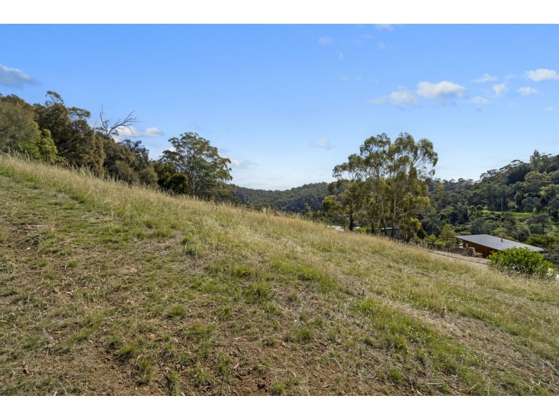 15 Basin View Drive, West Launceston TAS 7250
