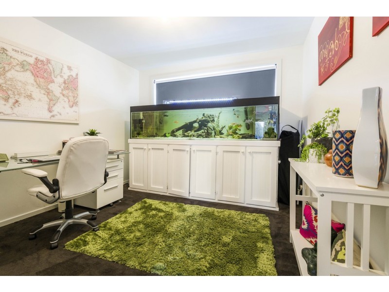 2 Opal Place, Perth TAS 7300