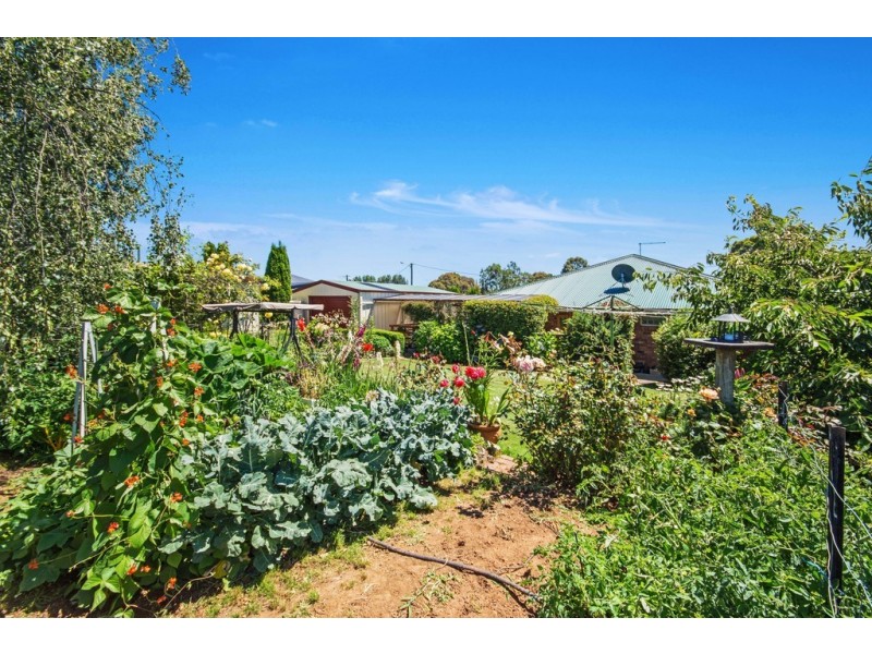 4 Alison Court, Westbury TAS 7303
