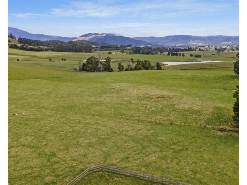 242 East Minstone Road, Scottsdale TAS 7260
