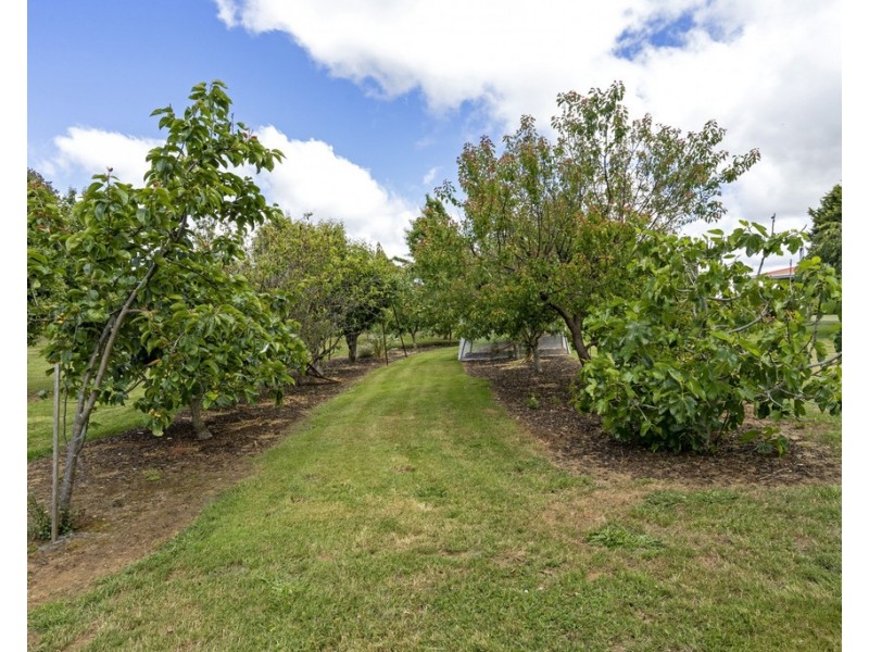 242 East Minstone Road, Scottsdale TAS 7260
