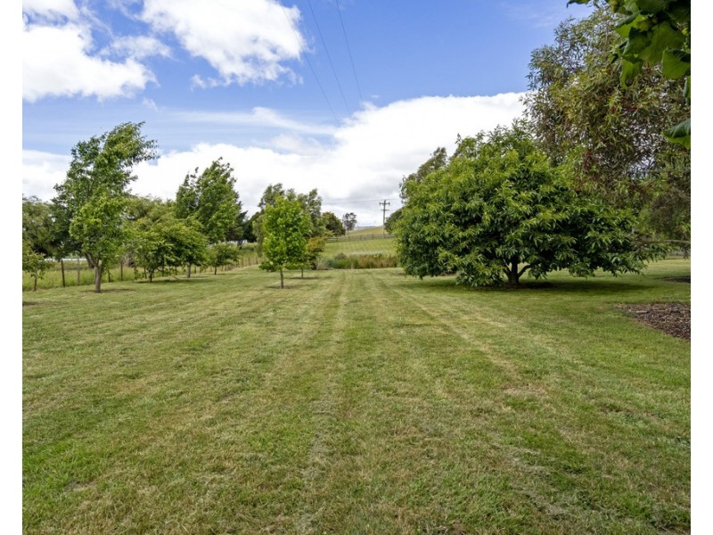 242 East Minstone Road, Scottsdale TAS 7260