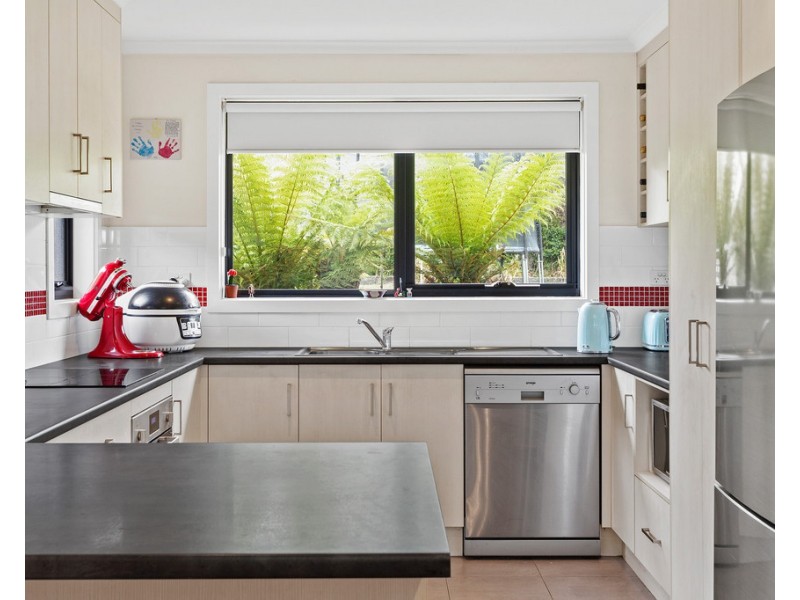 17 Notley Street, Newnham TAS 7248