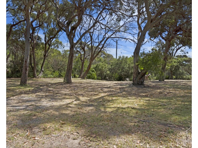 10 Bush Haven, Lulworth TAS 7252