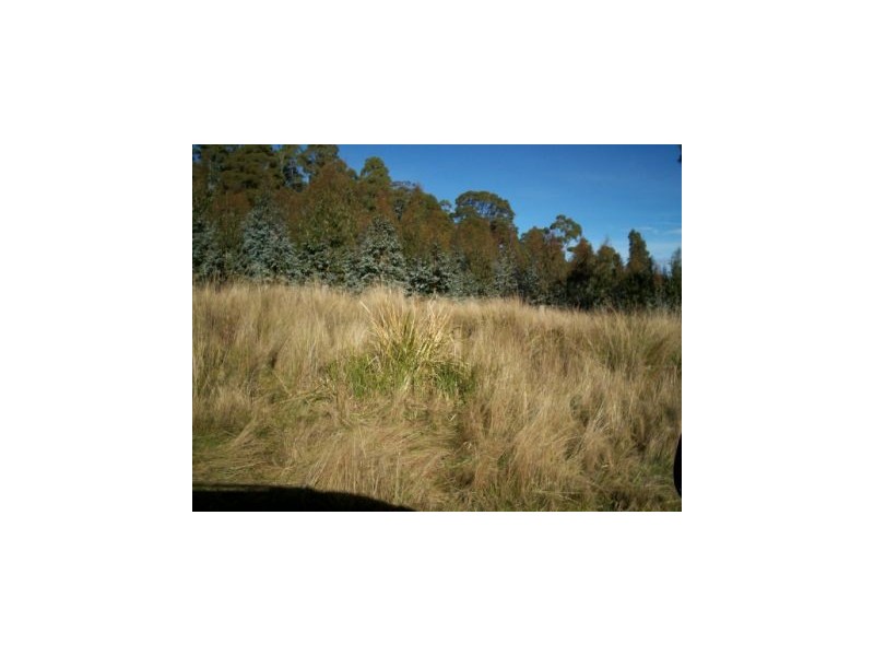 2238 Deddington Road, Blessington TAS 7212