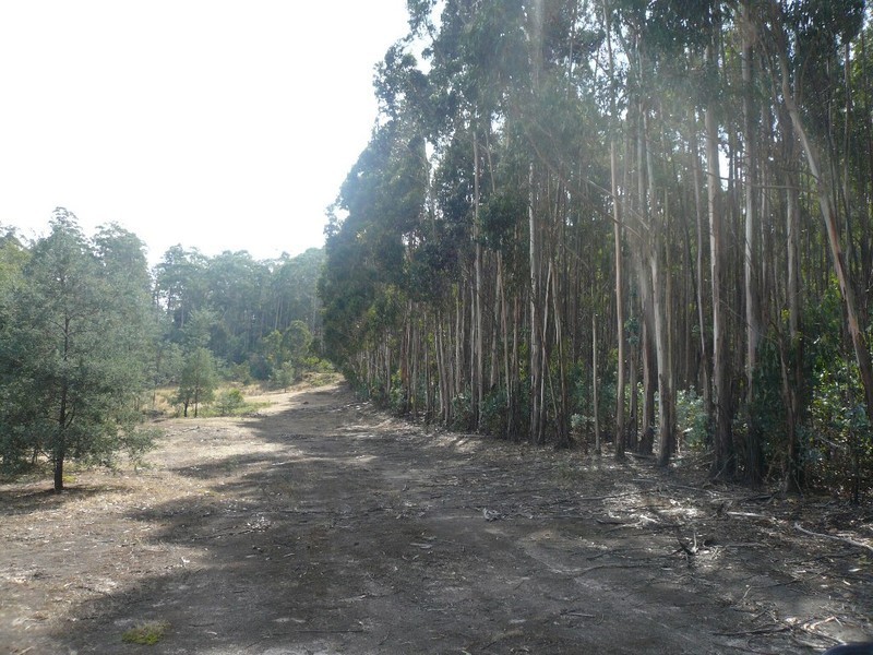 351 English Town Road, Deddington TAS 7212