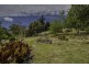 718 Deviot Road, Deviot TAS 7275