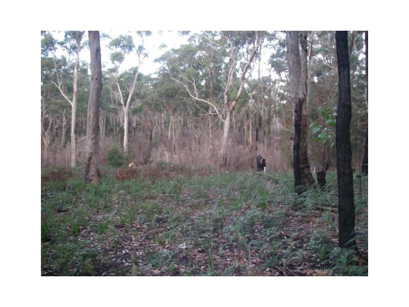 175 Tattersalls Road, Beaconsfield TAS 7270