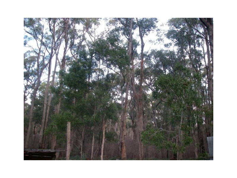 175 Tattersalls Road, Beaconsfield TAS 7270