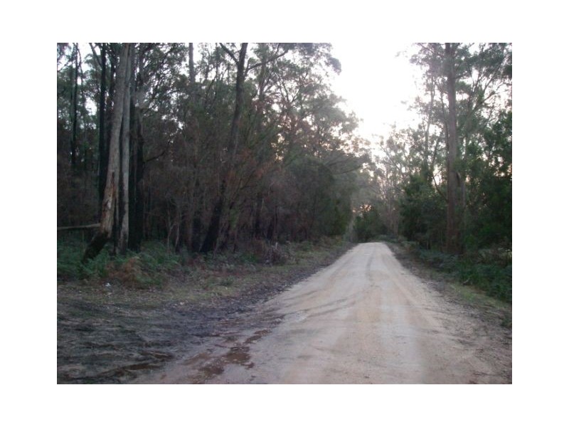 175 Tattersalls Road, Beaconsfield TAS 7270