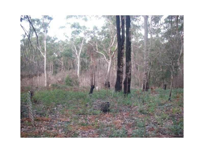 175 Tattersalls Road, Beaconsfield TAS 7270