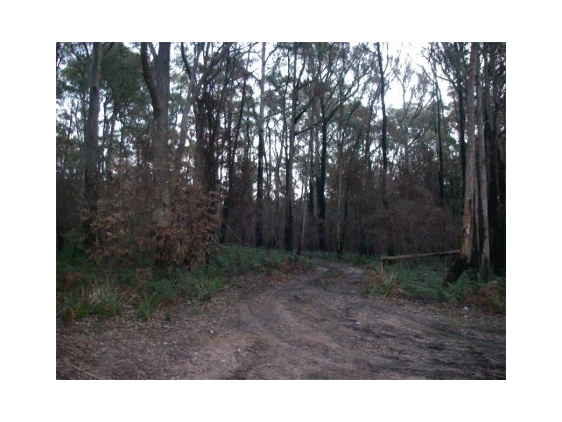 175 Tattersalls Road, Beaconsfield TAS 7270