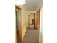 7 Cedar Street, Newnham TAS 7248