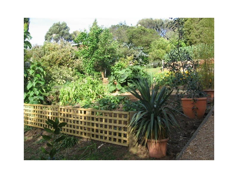 247 Upper York Street, Launceston TAS 7250