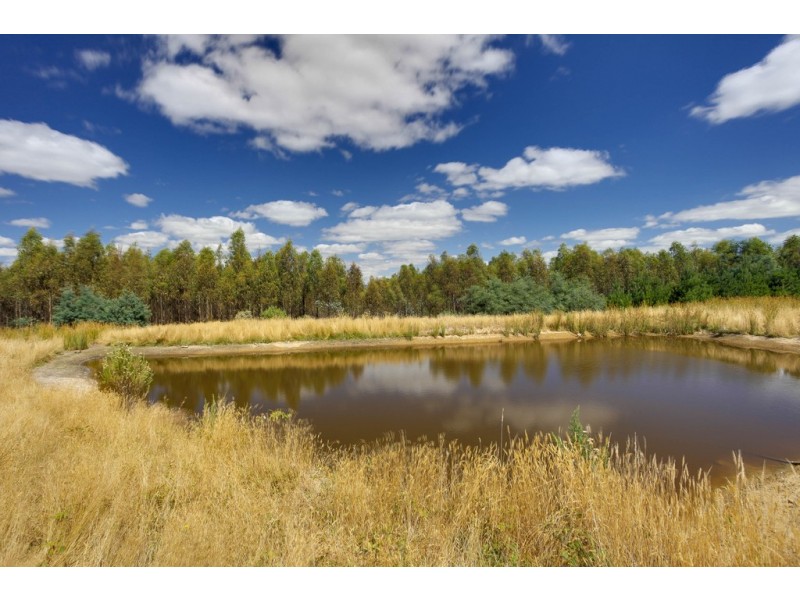 258 Auburn Road, Beaconsfield TAS 7270
