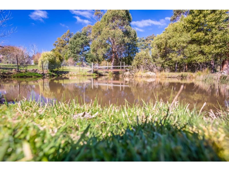 58 Turkey Farm Road, Glengarry TAS 7275