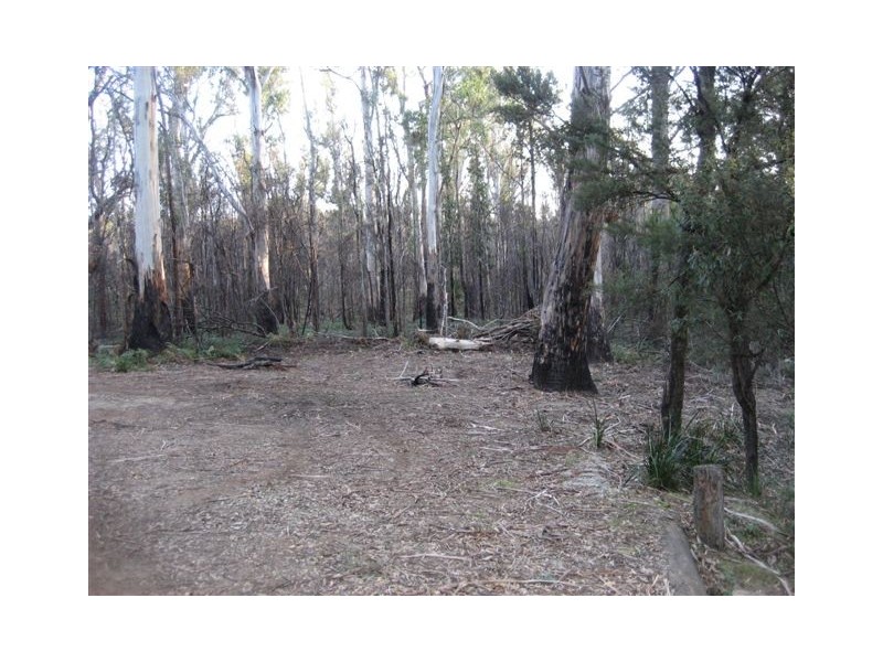 279 Tattersalls Road, Beaconsfield TAS 7270