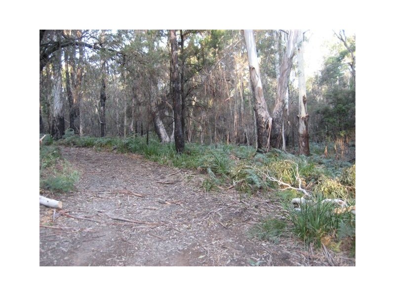 279 Tattersalls Road, Beaconsfield TAS 7270