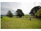 131 South Winkleigh Road, Winkleigh TAS 7275