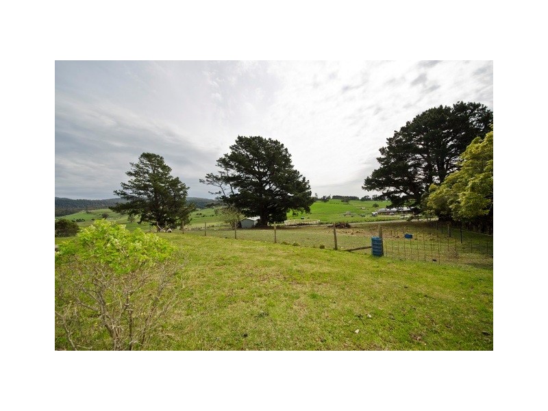 131 South Winkleigh Road, Winkleigh TAS 7275