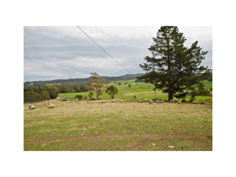 131 South Winkleigh Road, Winkleigh TAS 7275