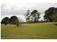 131 South Winkleigh Road, Winkleigh TAS 7275