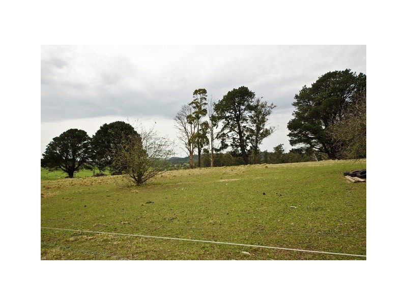 131 South Winkleigh Road, Winkleigh TAS 7275