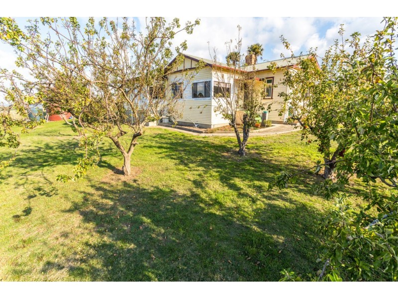 169 Stewarts Road, Winkleigh TAS 7275