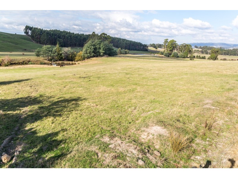 169 Stewarts Road, Winkleigh TAS 7275